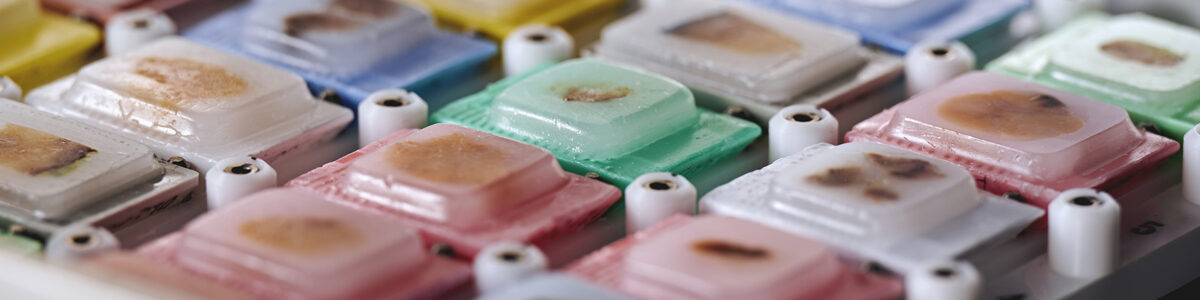 Axlab 22-06-234105_AS Axlab 22-06-234105_AS